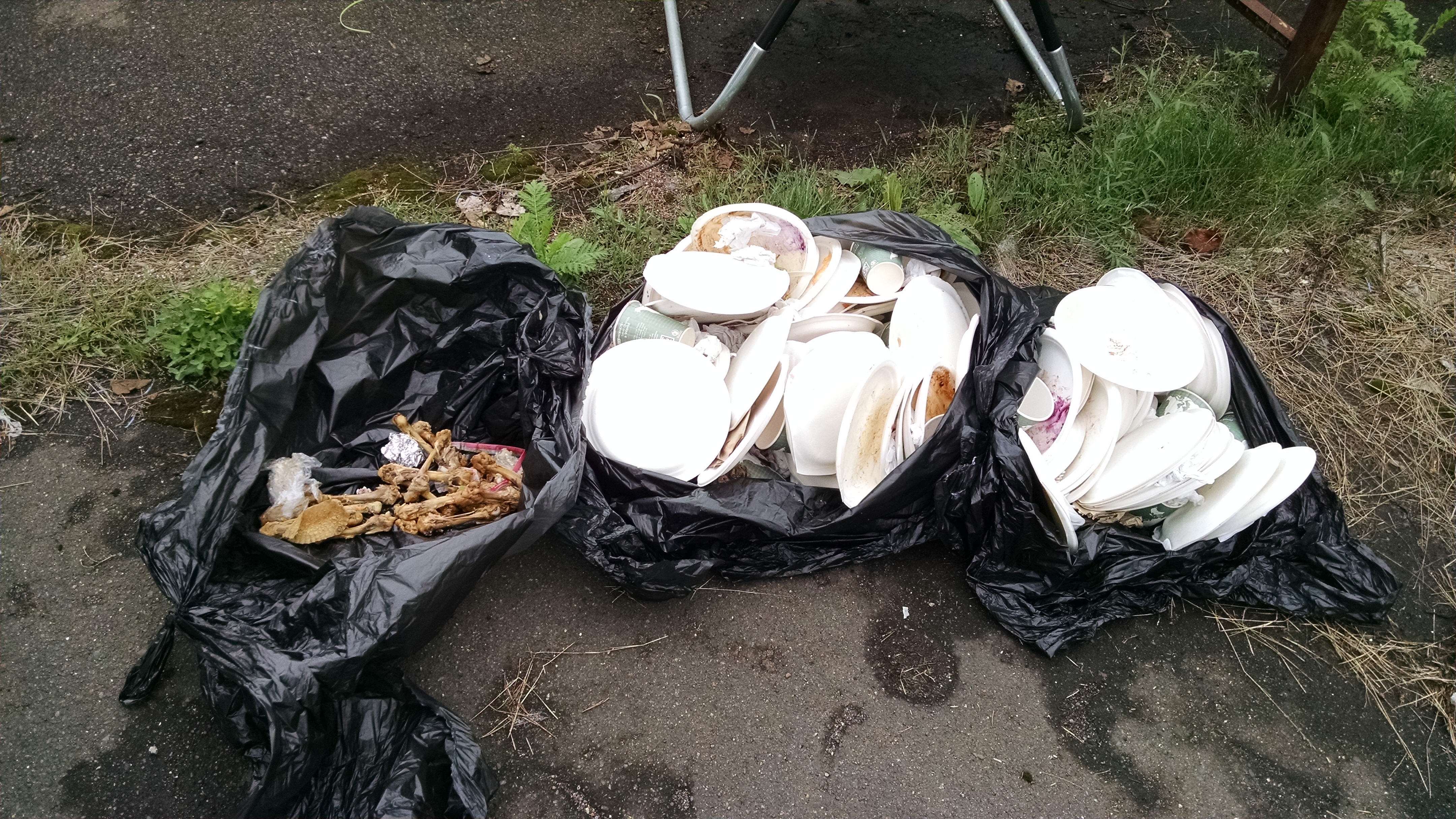 Ryan's profile image