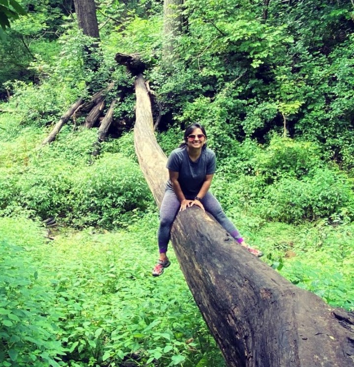 Vaidehi's profile image