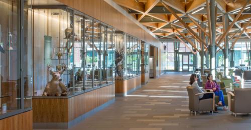 People sit in the lobby of a campus building.