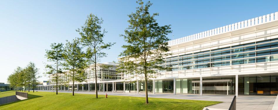 A long, low building with trees in front