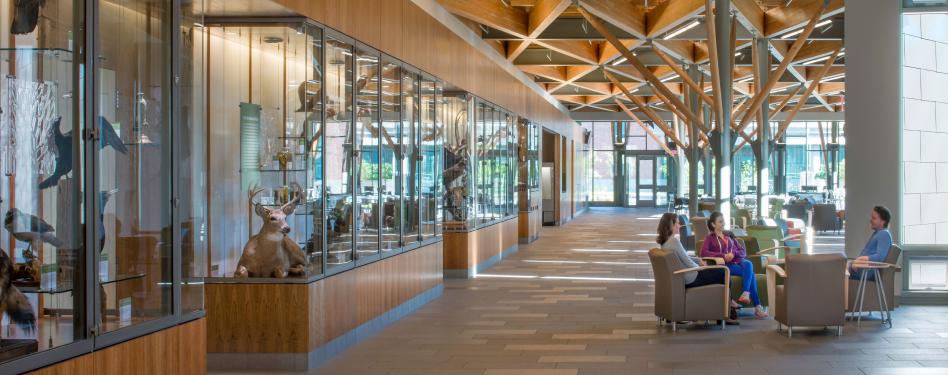 People sit in the lobby of a campus building.